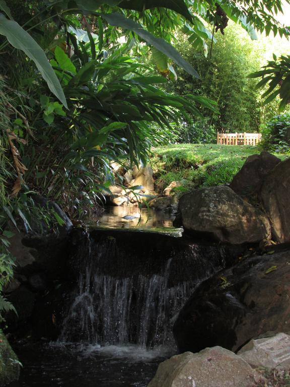 The Haven - Hotel & Spa, - Adults Only Bajo Bajo Boquete Exterior foto